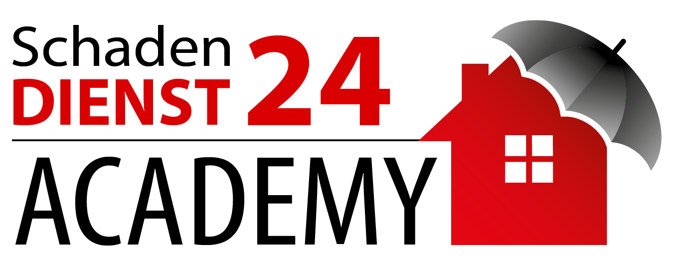 Schadendienst24 AG logo